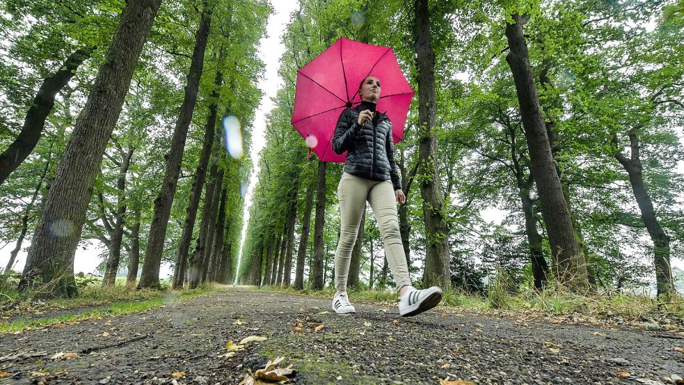 Der Belag der Evenburg-Allee ist in keinem guten Zustand. Er soll jetzt erneuert werden. Foto: Ortgies/Archiv