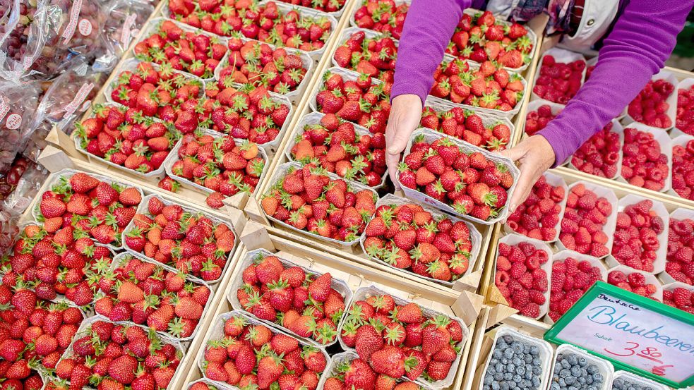 Eine Verkäuferin hält an einem Obst- und Gemüsestand eine Schale mit Erdbeeren in den Händen. Das gibt es bald auch in Uplengen. Foto: Dittrich/dpa