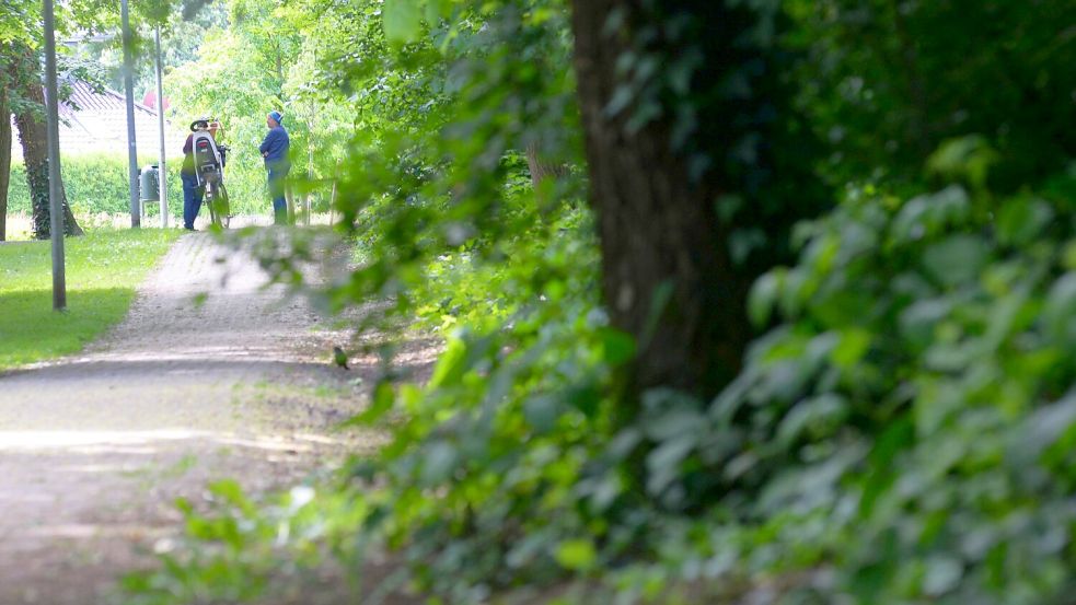 Eine grüne Oase mitten in Warsingsfehn ist der Fehntjer Berg. Er ist ein Relikt vom Bau des Sauteler Kanals. Foto: Lüppen/Archiv