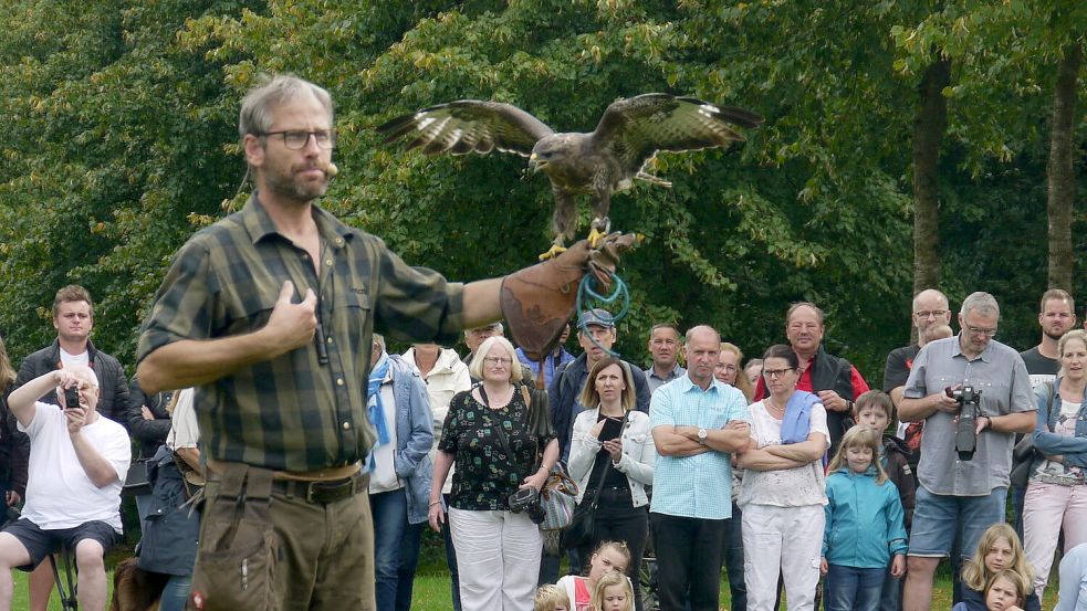 Ivo van Lanen zeigt seine Greifvögel auf dem Falknertag in Sögel. Foto: Emslandmuseum Schloss Clemenswerth