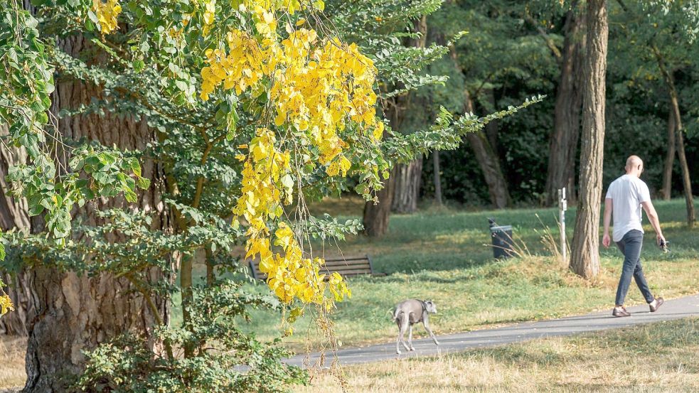 Zur Wochenmitte kühlt es im Westen ab, es bleibt aber oft spätsommerlich warm im Land. Foto: Daniel Vogl/dpa