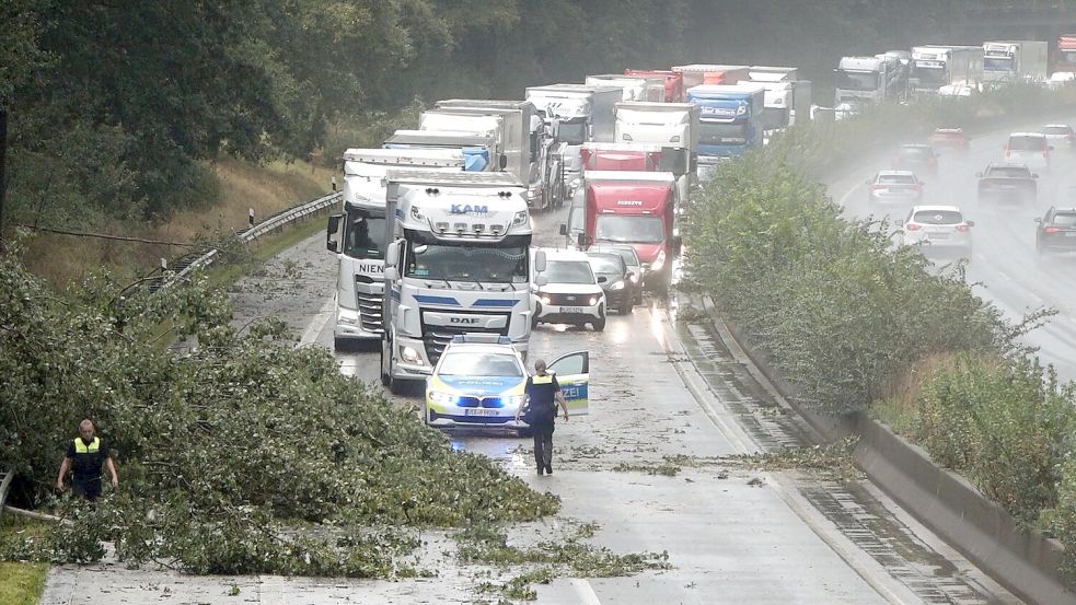 Der Verkehr staut sich am Mittwoch hinter einem umgestürzten Baum, der die Fahrbahn der Autobahn 27 blockiert. Zwischen den Anschlussstellen Achim-Ost und Langwedel war der Baum während eines Unwetters umgestürzt. Die Polizei sperrte die Fahrbahn ab, die Beamten zogen Äste vom Überholstreifen, um die Spur wieder befahrbar zu machen. Foto: NWM-TV/DPA