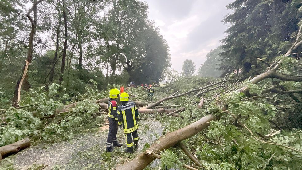 Die Feuerwehr hatte in Wüsting mit vielen umgestürzten Bäumen zu kämpfen. Foto: Kreisfeuerwehr Oldenburg