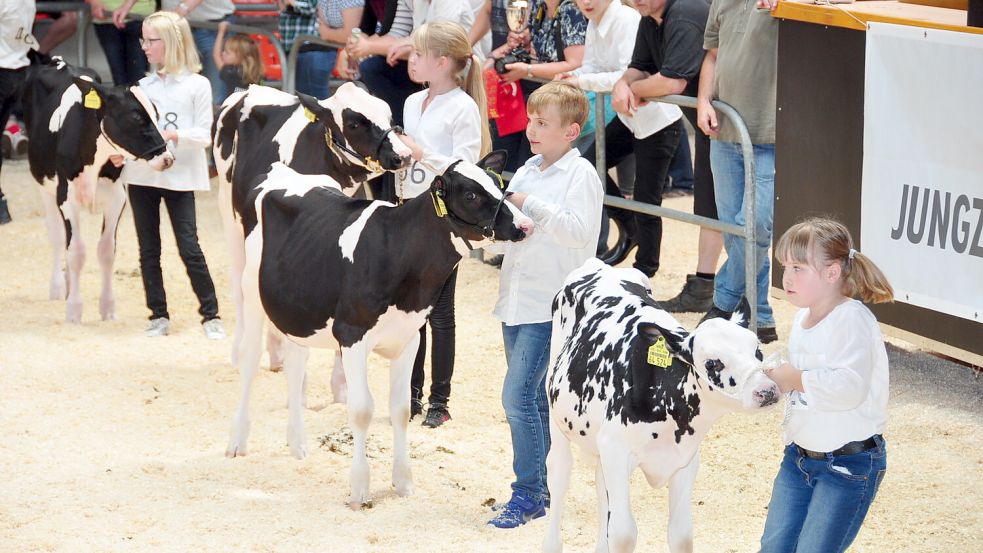 Beim Jungzüchterwettbewerb stellen Kinder ihre Tiere vor. Foto: Archiv