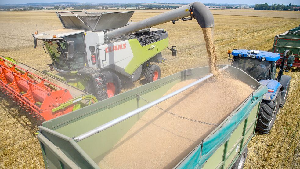 Ertrag aus Getreideernte in Niedersachsen niedriger im Vergleich zum Vorjahr Foto: dpa/ Klaus-Dietmar Gabbert