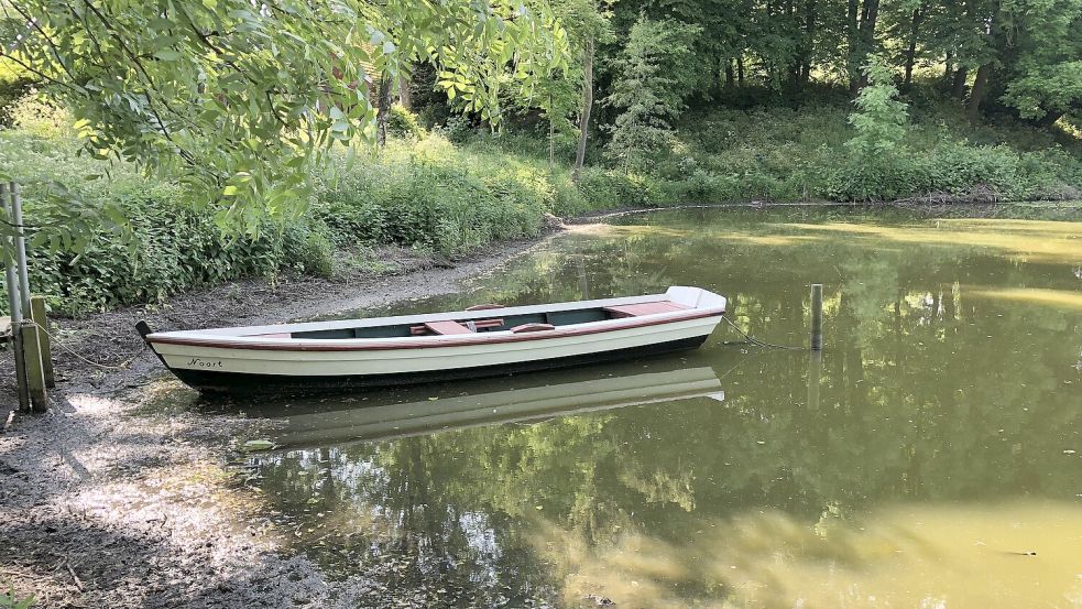 Die Große Grafte in Leeort verlandet zusehends. Foto: Mielcarek/Archiv