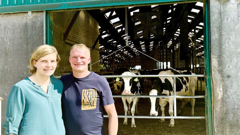 Neugierig schauen die Kühe, was los ist: Imke Koets und ihr Mann Hauke Menno Koets stehen auf ihrem Hof. Foto: Vogt