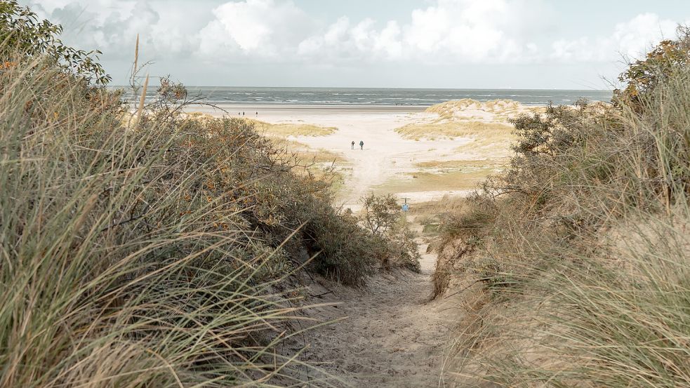 Die nahezu unendliche Weite des naturbelassenen Strandes am Ostende von Spiekeroog ist für viele Besucher ein Sehnsuchtsort. Kein anderer Strand wurde bei Google Maps so gut bewertet wie diese Inselidylle. Foto: NSB/Kea Leffers