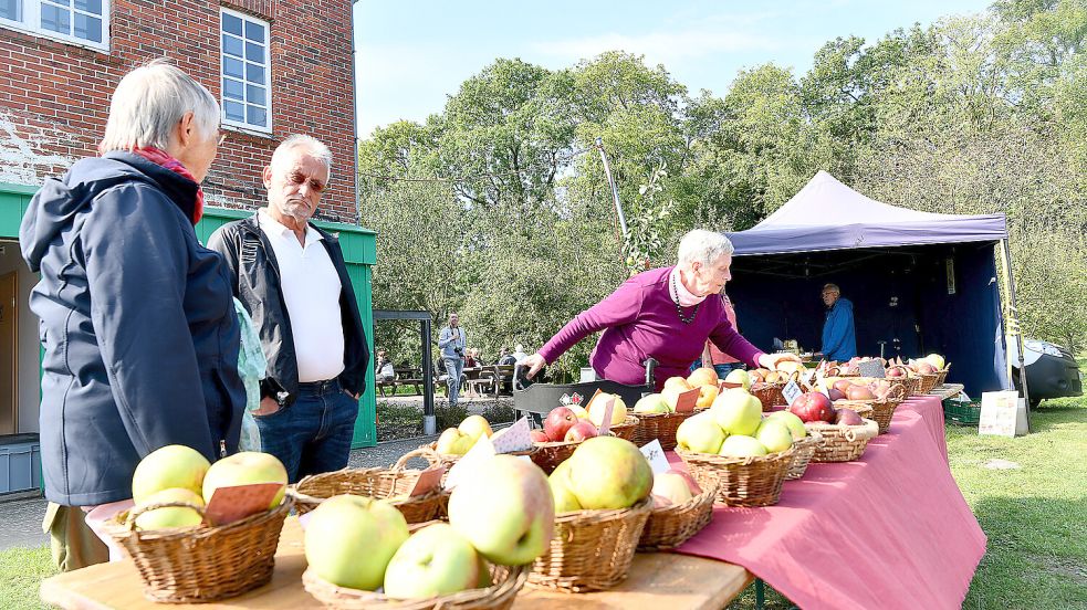 Am Sonntag stand in Oldersum wieder der Apfel im Vordergrund. Foto: Stromann