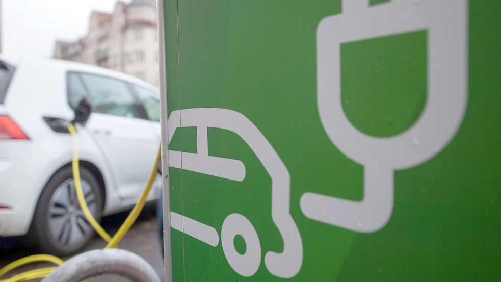 Einer Studie zufolge dürften E-Autos im kommenden Jahr einen Marktanteil von 20 bis 24 Prozent erreichen. (Archivbild) Foto: Hendrik Schmidt/dpa