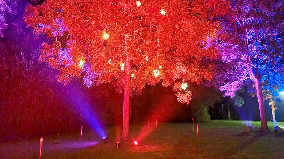 Die Bäume im Park in Oldersum werden in buntes Licht getaucht. Foto: Förderverein der Oldersumer Feuerehr