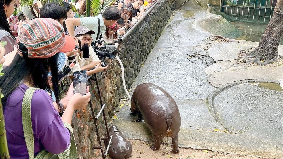 Das Hippo-Mädchen lockt jeden Tag Tausende Besucher. Foto: Carola Frentzen/dpa