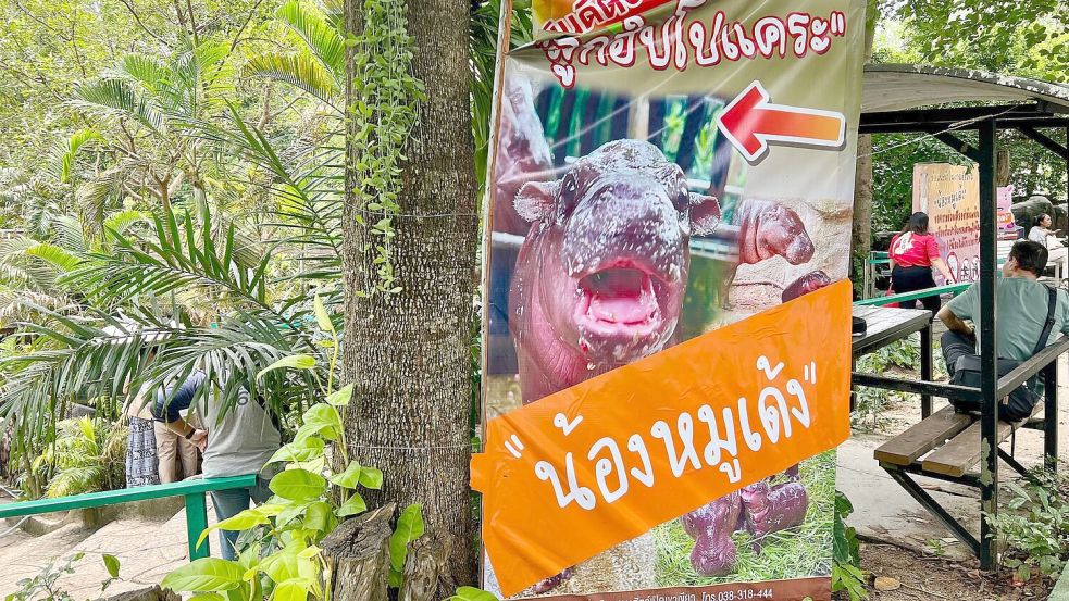 Dank solcher Schilder wissen Besucher gleich, wo es zu Moo Dengs Gehege langgeht. Foto: Carola Frentzen/dpa