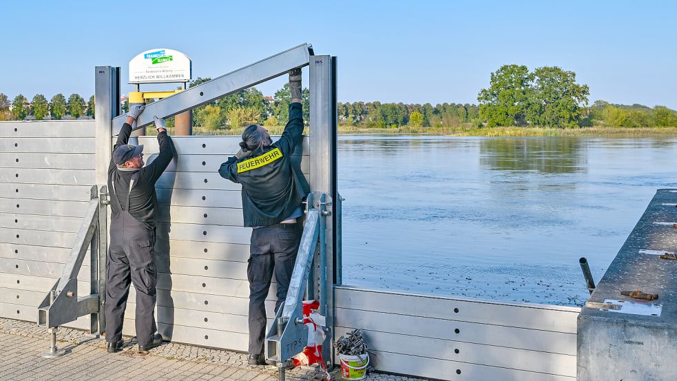 Die Feuerwehr errichtet eine mobile Hochwasserschutzwand an der Oder. Foto: dpa/Patrick Pleul