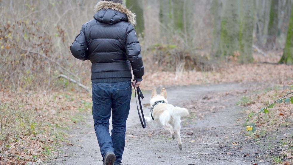 Wenn ein Hund seinem Besitzer abhaut, kann das im Ärger enden. Symbolfoto: Pixabay