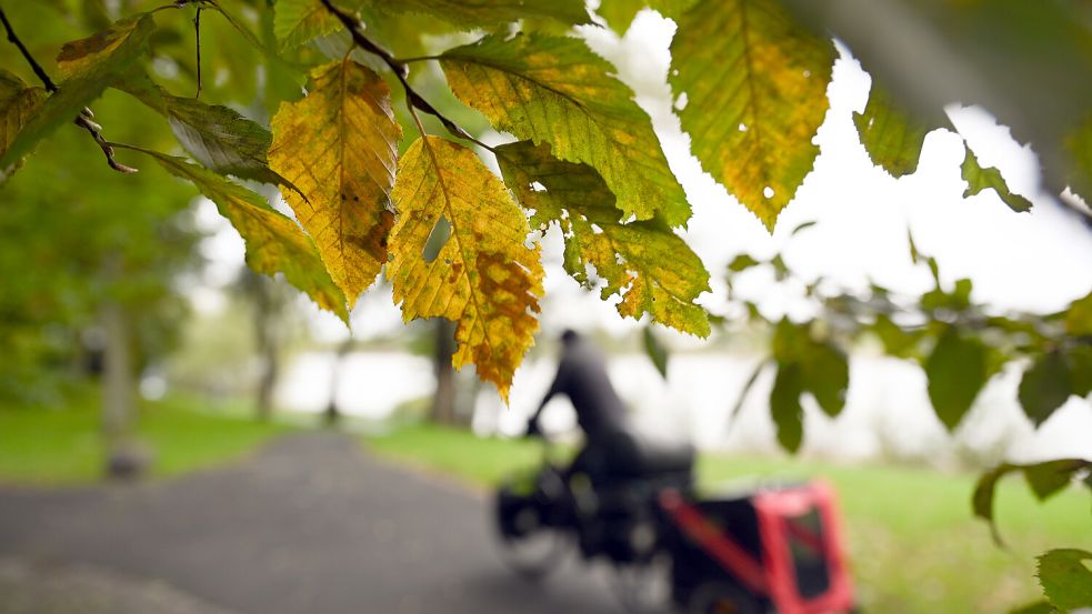 In den kommenden Tagen sinken die Temperaturen und es wird unbeständig. Foto: dpa/Federico Gambarini