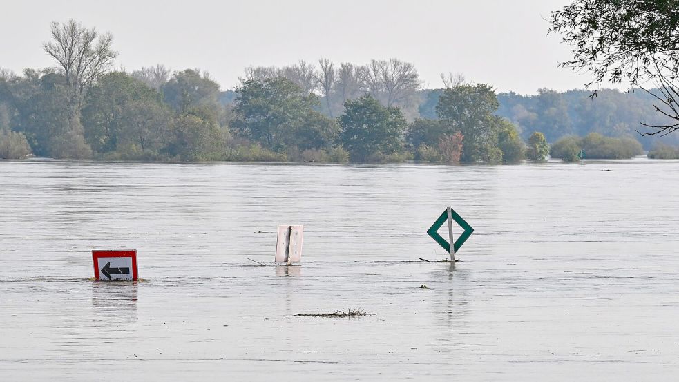 Die Oder bei Ratzdorf (Oder-Spree) „verschluckt“ inzwischen Schilder im Fluss. Der Pegelstand steigt auch noch weiter. Foto: Patrick Pleul/dpa