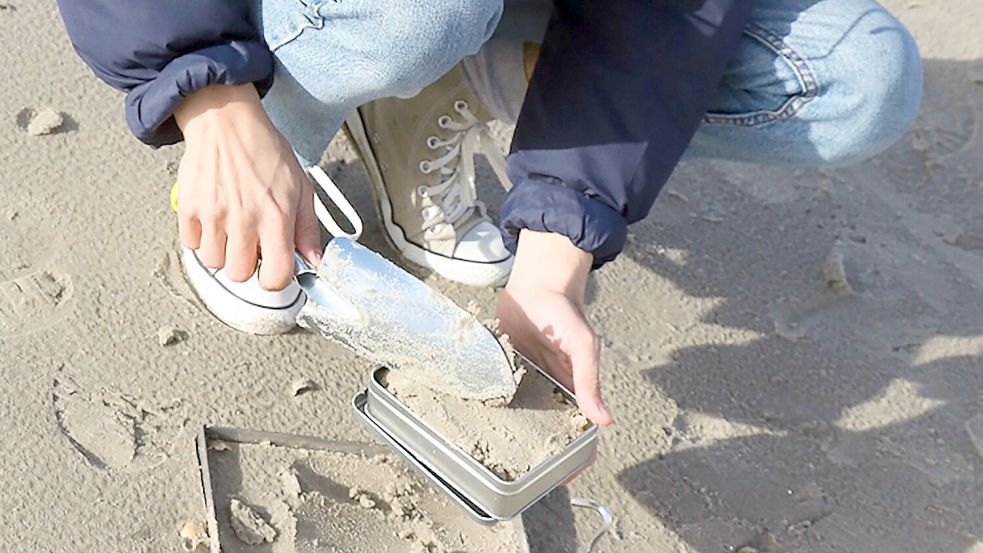 Beim Projekt „Mikroplastikdetektive“ haben Bürgerinnen und Bürger Proben von Sandstränden genommen. Forschende des Bremerhavener Alfred-Wegener-Instituts (AWI) untersuchten diese auf Mikroplastik. Foto: -/Alfred-Wegener-Institut/dpa