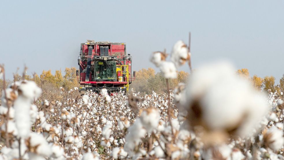 China wirft PVH vor, Baumwolle und andere Produkte aus Xinjiang gemieden zu haben. (Symbolbild) Foto: Ma Kai/XinHua/dpa