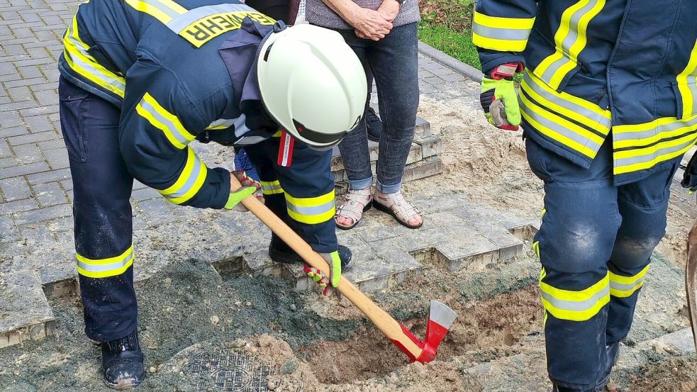 Die Feuerwehr half bei der Katzenrettung mit. Foto: Feuerwehr