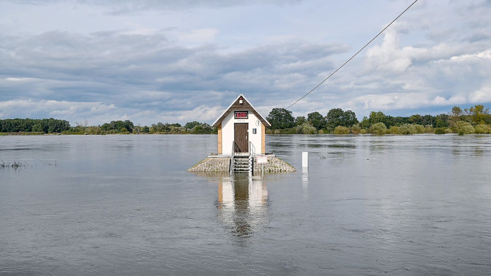 Das Pegelhäuschen bei Ratzdorf an der Oder ist von Wassermassen umgeben. Foto: Patrick Pleul/dpa