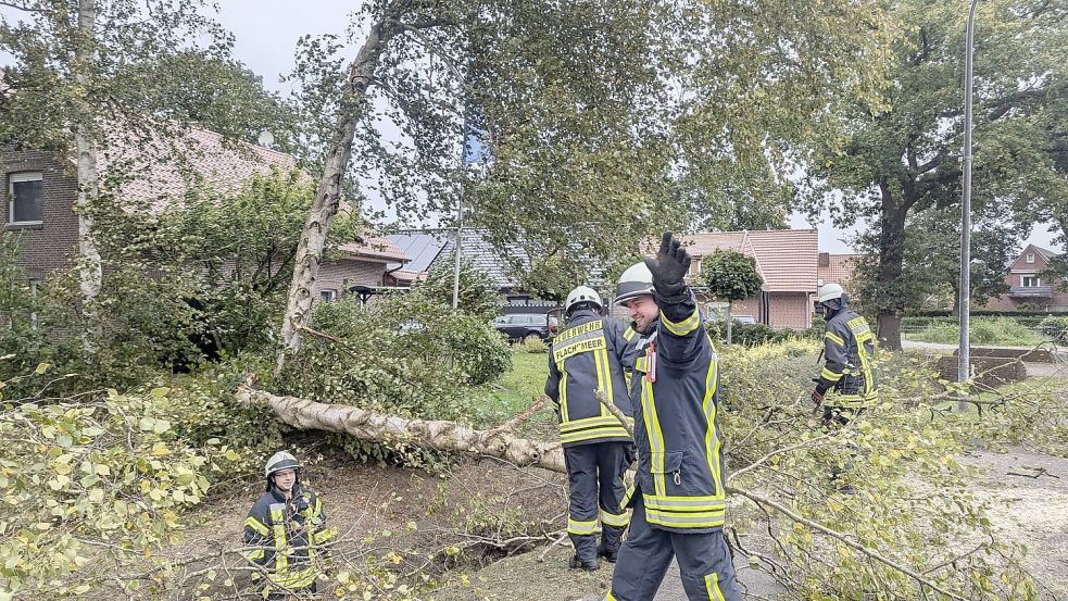 Mitglieder der Feuerwehr Flachsmeer mussten einen umgekippten Baum beseitigen. Foto: Feuerwehr/Bruns