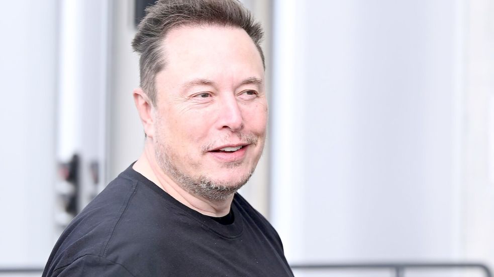 Elon Musk will sich des hohen Krankenstands im Tesla-Werk in Grünheide annehmen. Foto: Sebastian Gollnow/dpa