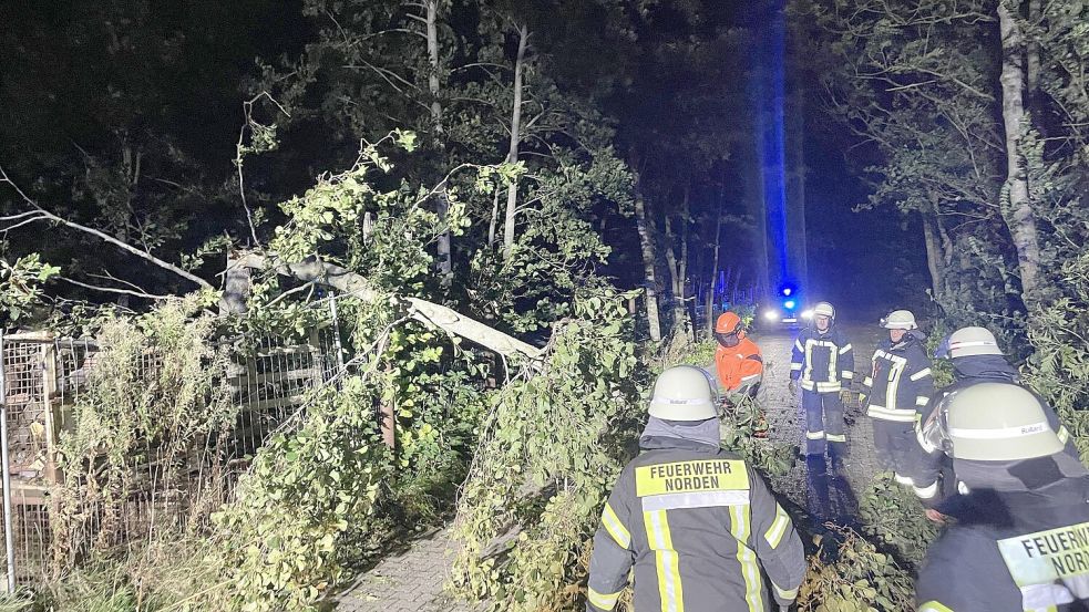 Auch im Norder Stadtgebiet stürzten mehrere Bäume um. Foto: Feuerwehr