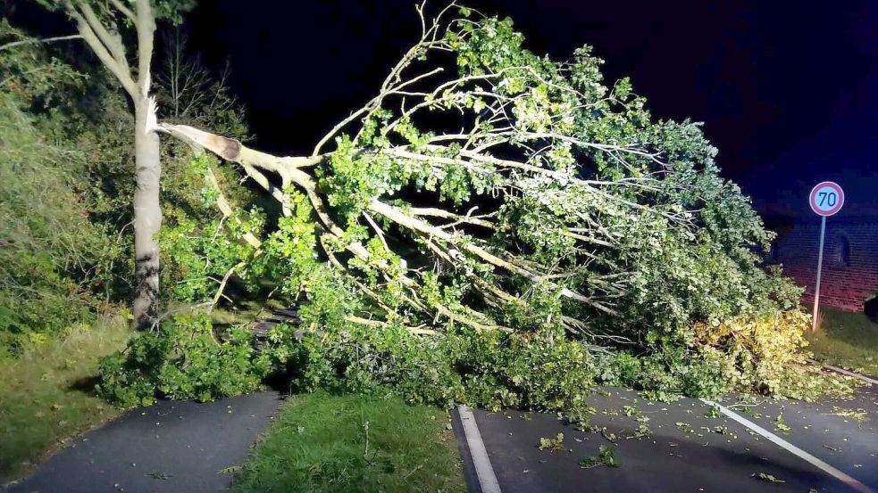 Ein Baum kippte am Freitag auf die Loppersumer Straße Richtung Eisinghusen. Foto: Feuerwehr Loppersum