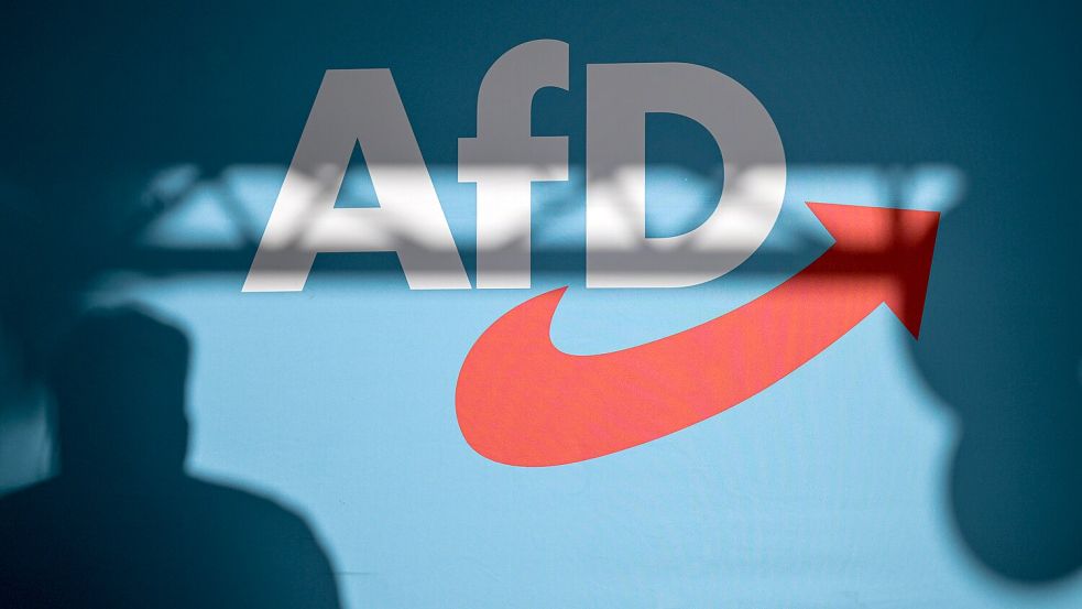 Abgeordnete von SPD, CDU/CSU, Grünen und Linken wollen ein AfD-Verbotsverfahren anstoßen. Foto: dpa/Hannes P Albert