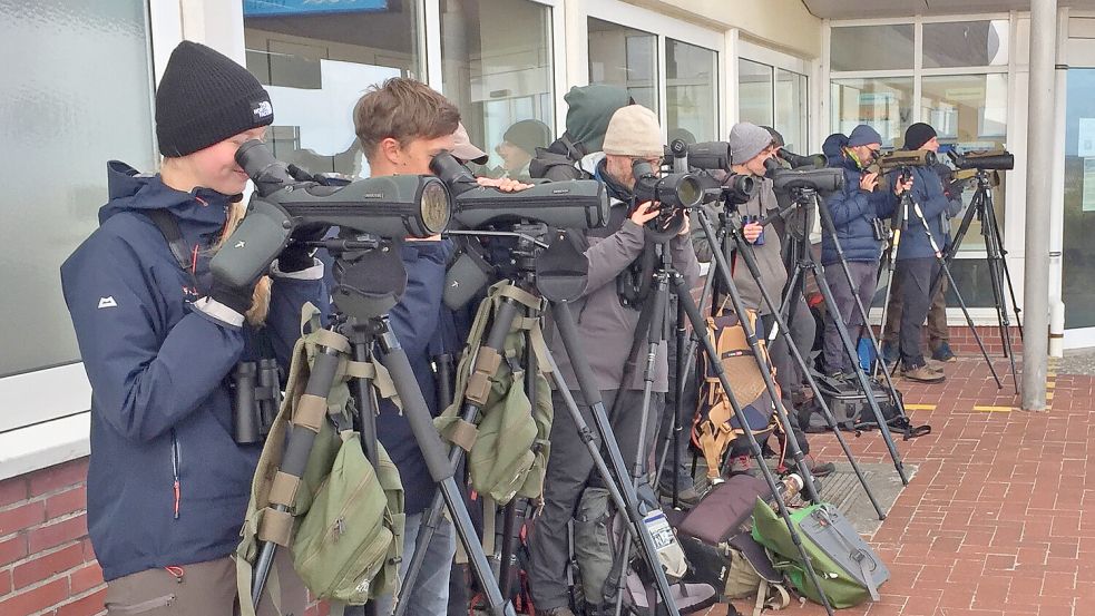 Beim konzentrierten Seawatching konnte das Wangerooger Aviathlon-Team in den vergangenen Jahren viele Hochseevögel "verbuchen". Foto: M. Heckroth