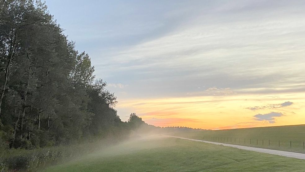 Nach Bodenfrost und Frühnebel kommt am Sonntag die Sonne hervor. Foto: Melanie Hanz