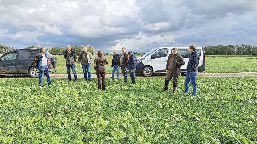 Niederländer und Deutsche bei einer Feldbegehung in Aduard bei Groningen. Foto: privat