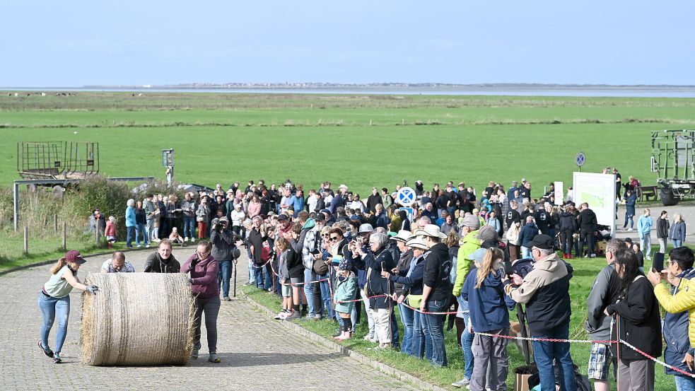 In Dornum geht es rund: Dort startet die Strohballen-Rollmeisterschaft. Foto: Penning/dpa-Archiv