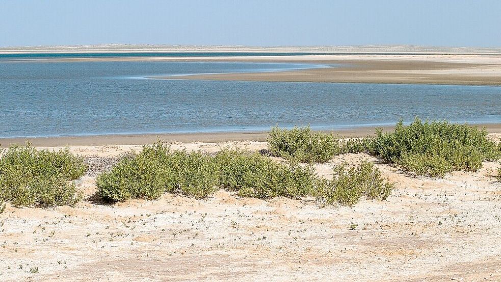 Wüste trifft auf Meer an der Banc d'Arguin in Mauretanien: Der Nationalpark ist Überwinterungsgebiet vieler Zugvögel, die jetzt im Wattenmeer rasten. Foto: Odile van Asperen/Unesco