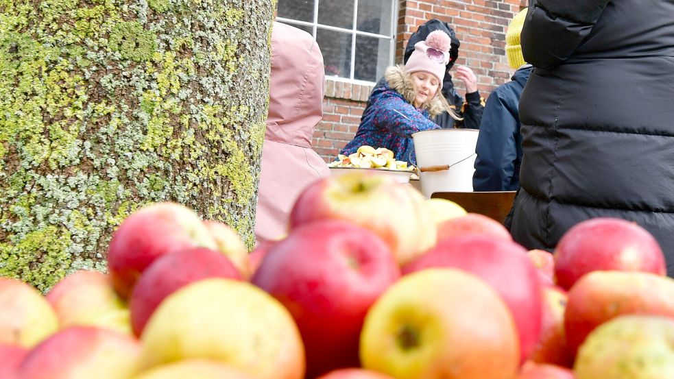 Im Landwirtschaftsmuseum in Campen wurde am Sonntag, 13. Oktober 2024, Apfelfest gefeiert. Foto: Wagenaar