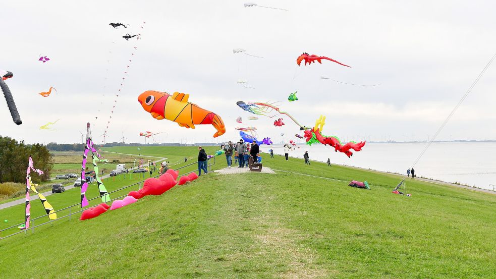 Am Samstag war noch gutes Wetter. Am Sonntag musste das Drachenfest in Upleward abgesagt werden. Foto: Wagenaar