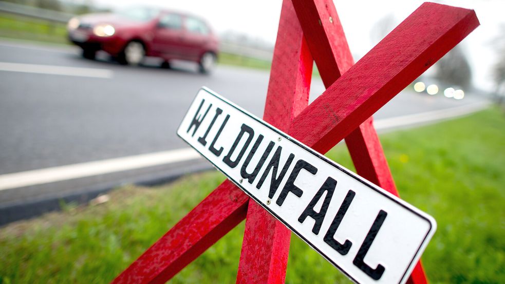 Die Gefahr von Wildunfällen ist laut Schaden-Risiko-Rechner der Allianz in ganz Ostfriesland hoch. Foto: Hauke-Christian Dittrich/dpa