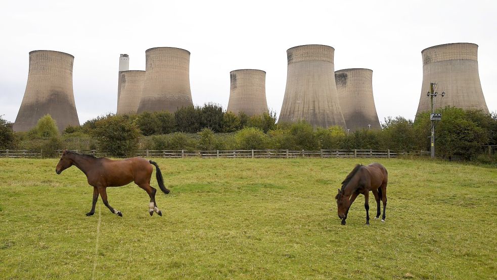 Die Energieagentur geht davon aus, dass die Nachfrage nach allen drei fossilen Brennstoffen bis zum Ende des Jahrzehnts ihren Höhepunkt erreichen wird. (Archivbild) Foto: Rui Vieira/AP/dpa