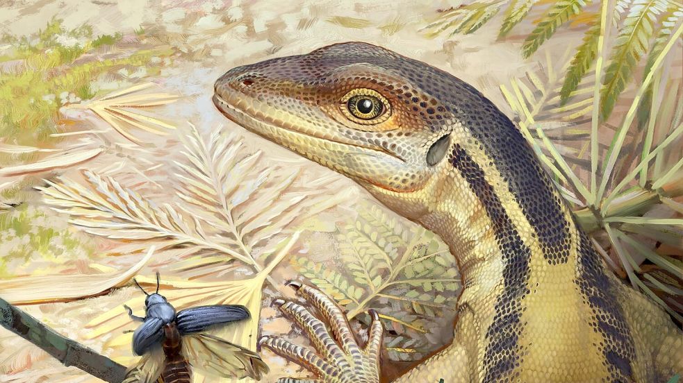 So könnte ein Reptil ausgesehen haben, das ein Vorfahr aller heutigen Reptilien war. (Illustration) Foto: -/Universität Tübingen/dpa