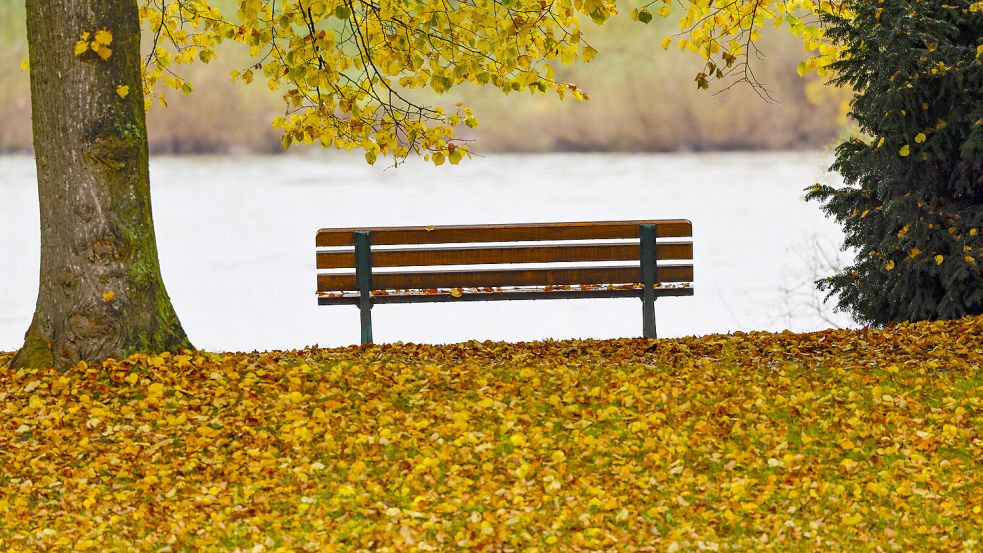 Der Herbst zeigt sich in Niedersachsen bislang meist von seiner freundlichen Seite. Foto: dpa/Thomas Banneyer