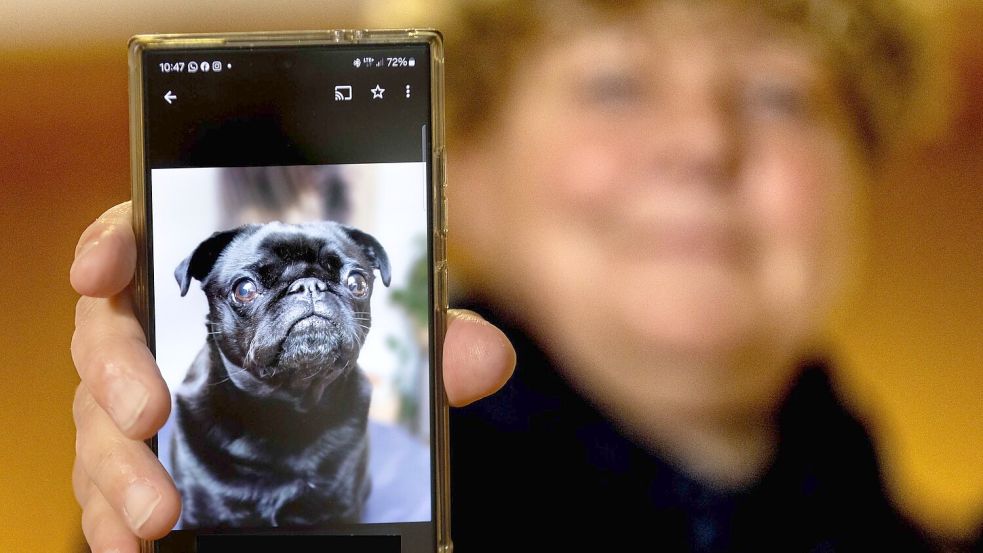 Auch im Berufungsverfahren war die Klägerin nicht erfolgreich. Foto: Dieter Menne/dpa