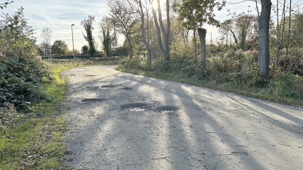 Schlaglochpiste: die Straße „Zum Buschplatz“. Foto: Schuurman