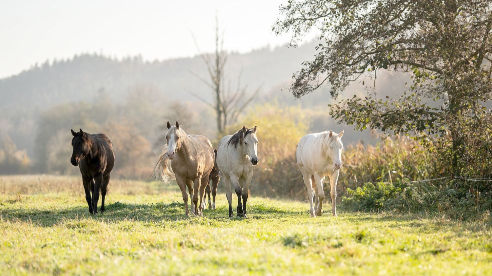 Der Oktober zeigte sich nicht immer sonnig. Foto: Silas Stein/dpa