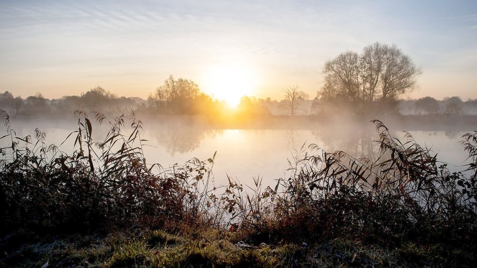 Das Herbstwetter ist auch in der kommenden Woche stabil Foto: Hauke-Christian Dittrich/dpa