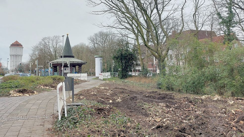 In diesem Jahr wurden bereits mehrere Bäume gefällt – unter anderem sind 23 Bäume für die geplante Kunstpromenade gewichen. Jetzt sollen im Stadtgebiet noch 104 Bäume verschwinden. Foto: Hanssen/Archiv