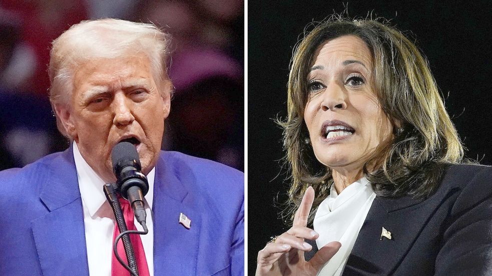 Hoffen auf Erfolg in den „Swing States“: Donald Trump und Kamala Harris. Foto: VUCCI/MARTIN/AP/dpa