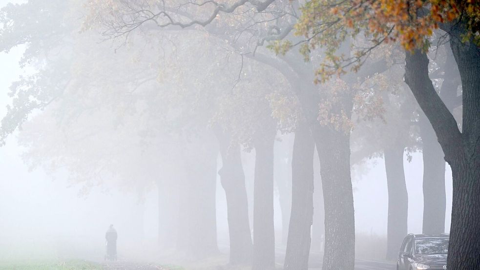 Das Wetter bleibt am Wochenende oft grau. (Archivbild) Foto: Patrick Pleul/dpa