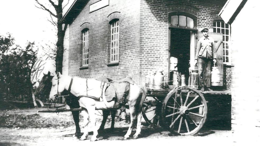 Vom Ackerwagen in die Molkerei: Börchert Cordes mit dem Gespann von Johann Gronewold beim Abladen der Milch. Foto: Archiv Hinrich Trauernicht