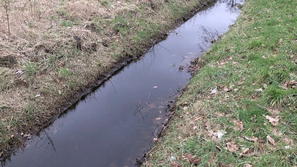 Die kleinen Wassergräben in Ostfriesland und umzu werden oft Anliegergräben genannt. Im Normalfall sind die Anlieger selbst für die Pflege zuständig. Foto: Archiv